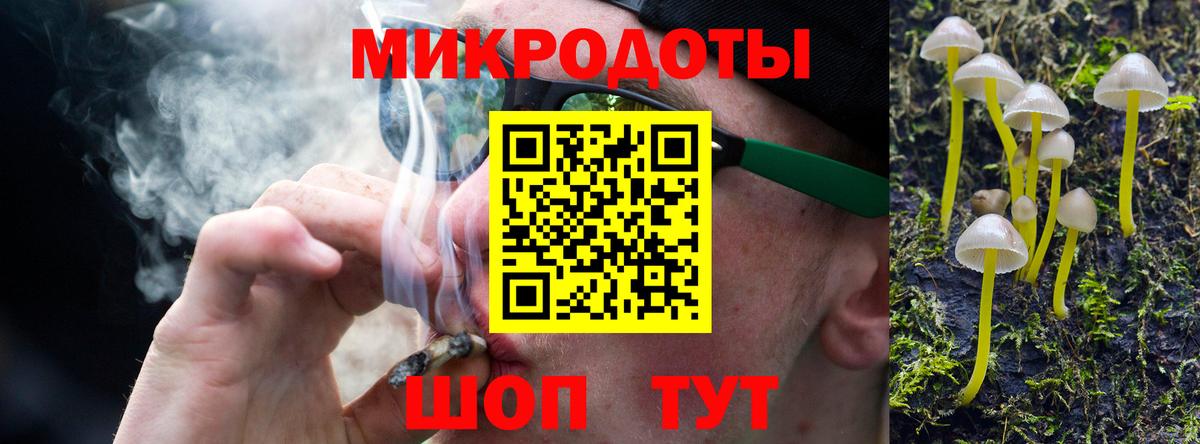 Камышлов  Псилоцибиновые грибы Cubensis  Вход с VPN 